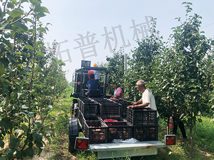 多功能果園作業平臺