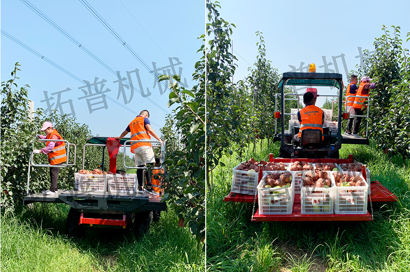 果園采摘平臺各機構的組成及應用的介紹