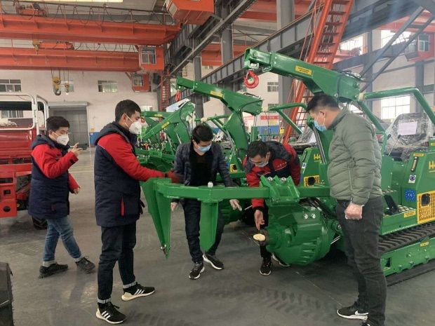 進口挖樹機