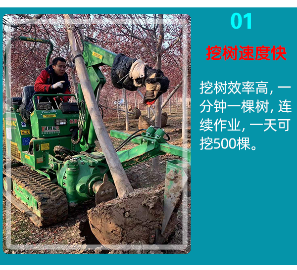 挖樹機