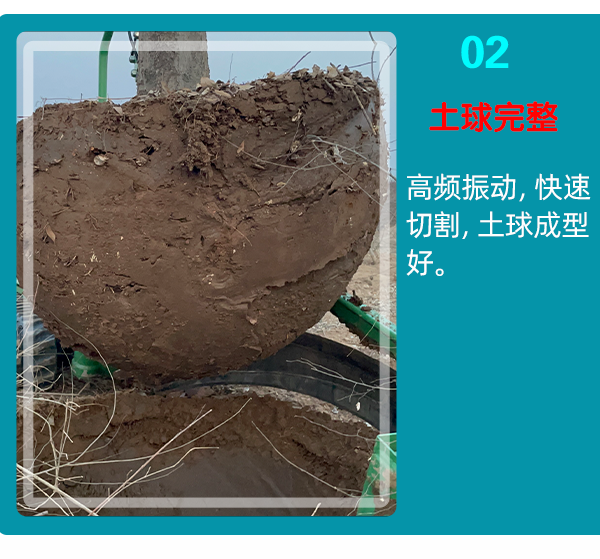 挖樹機