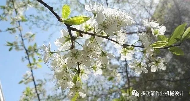 多功能果園作業平臺--果園管理的好搭檔！