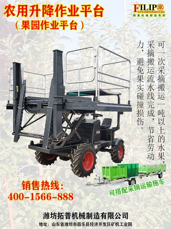 未標題-1.png